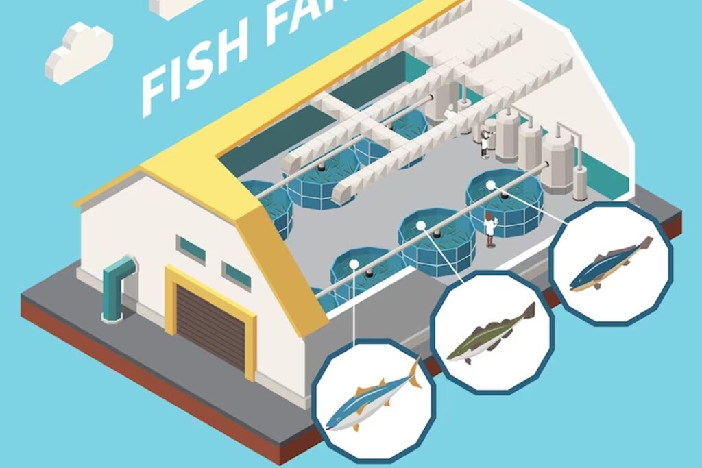 Aquaculture Farming in Africa A StepbyStep Guide to Profitable and Sustainable Aquatic