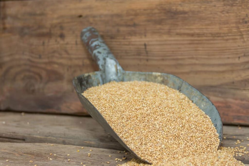 Zimbabwe Commemorates International Year of Millets to Promote Food