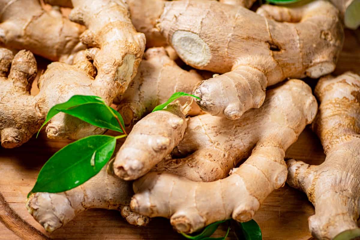 Comprehensive Guide To Ginger Farming Cultivation Fertilizer Schedule 