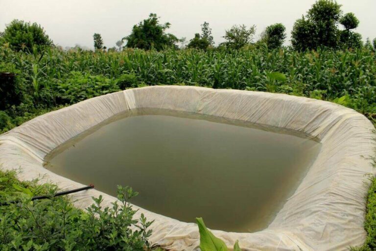 Water Harvesting: Empowering Zambian Farmers for Sustainable ...