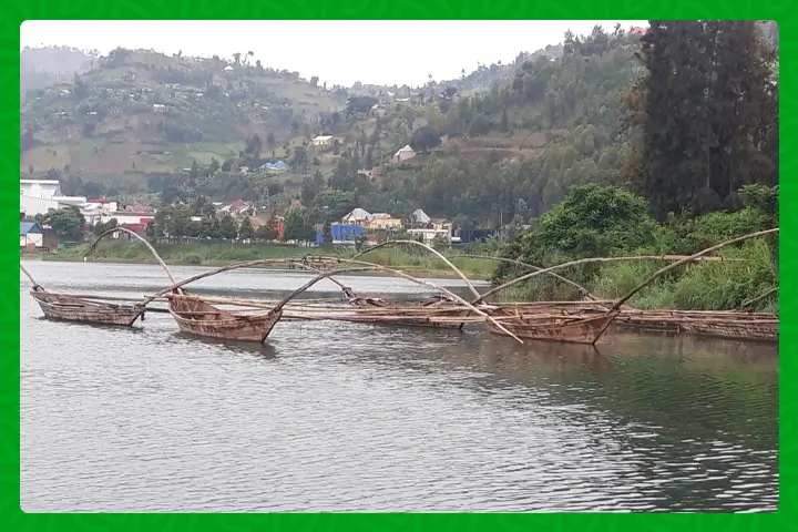 Boosting Fish Harvests: The Vital Impact of Fishing Breaks in Lake Kivu -  The Farmer's Journal Africa
